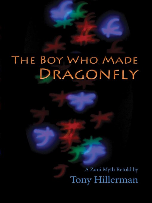 Cover image for The Boy Who Made Dragonfly